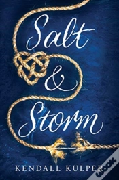 Capa do artigo Salt & Storm
