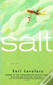 Capa do artigo Salt