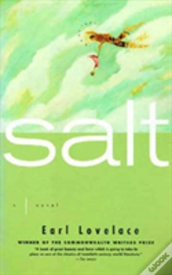 Capa do artigo Salt