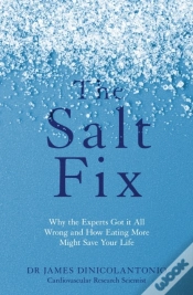 Capa do artigo Salt Fix