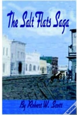 Capa do artigo Salt Flats Saga