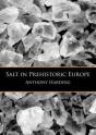 Salt In Prehistoric Europe - Preview
