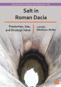 Salt In Roman Dacia - Preview