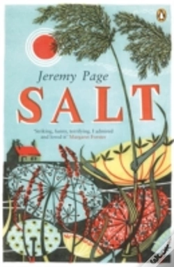 Capa do artigo Salt