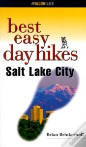 Capa do artigo Salt Lake City