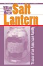 Salt Lantern - Preview