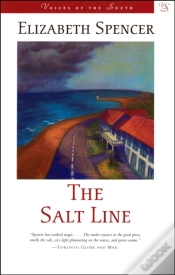 Capa do artigo Salt Line