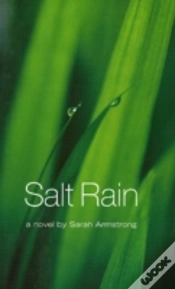 Capa do artigo Salt Rain