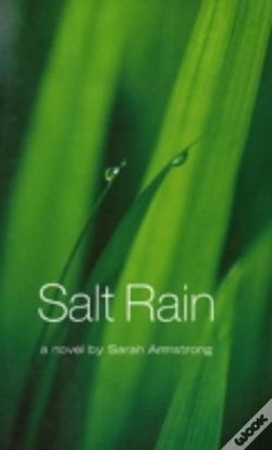 Capa do artigo Salt Rain