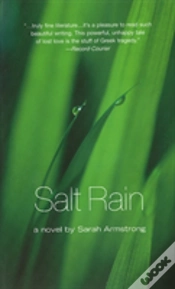 Capa do artigo Salt Rain