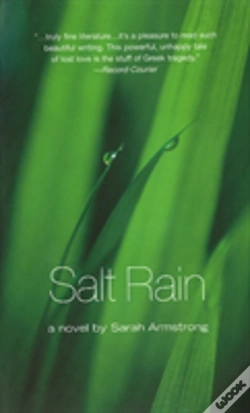 Capa do artigo Salt Rain