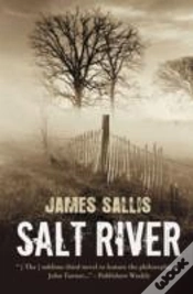 Capa do artigo Salt River
