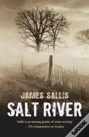 Capa do artigo Salt River