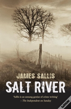Capa do artigo Salt River