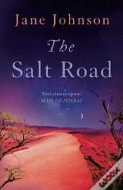 Capa do artigo Salt Road