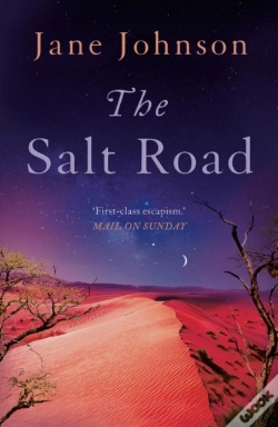 Capa do artigo Salt Road