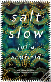 Capa do artigo Salt Slow