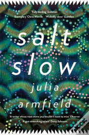 Capa do artigo Salt Slow