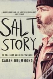 Capa do artigo Salt Story