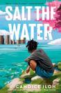 Salt The Water - Preview