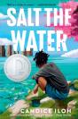 Salt The Water - Preview
