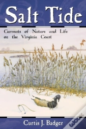 Capa do artigo Salt Tide
