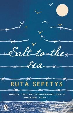 Capa do artigo Salt To The Sea