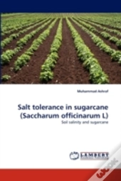 Salt Tolerance In Sugarcane (Saccharum Officinarum L)