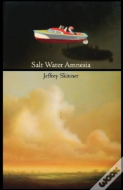 Capa do artigo Salt Water Amnesia