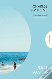Capa do artigo Salt Water