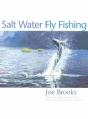 Salt Water Fly Fishing - Preview