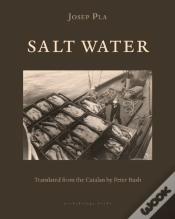 Capa do artigo Salt Water