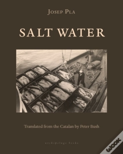 Capa do artigo Salt Water