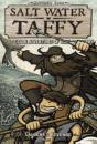 Salt Water Taffy - Preview