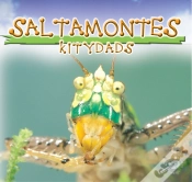 Capa do artigo Saltamontes