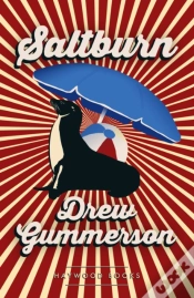 Capa do artigo Saltburn