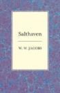 Salthaven - Preview