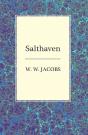 Salthaven - Preview
