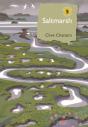 Saltmarsh - Preview