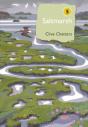 Saltmarsh - Preview