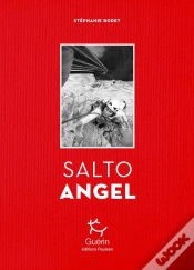 Capa do artigo Salto Angel
