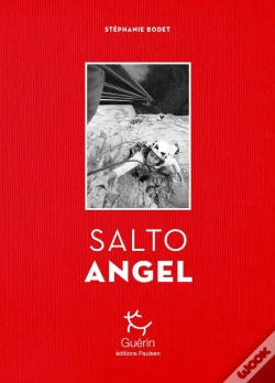 Capa do artigo Salto Angel
