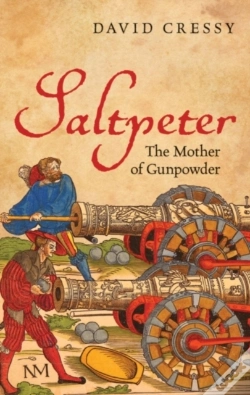 Capa do artigo Saltpeter