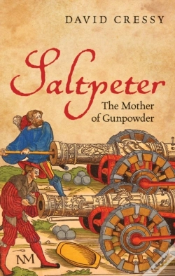 Capa do artigo Saltpeter