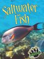 Saltwater Fish - Preview