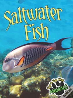 Capa do artigo Saltwater Fish