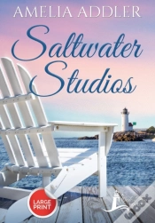 Capa do artigo Saltwater Studios