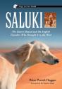 Saluki - Preview