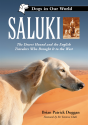Saluki - Preview