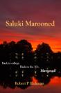 Saluki Marooned - Preview